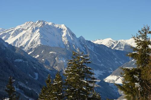 สภาพแวดล้อมโดยรอบ, Haus Oblasser in บรันด์แบร์ก