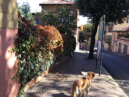 B&B La Castagnina – Bologna, KY