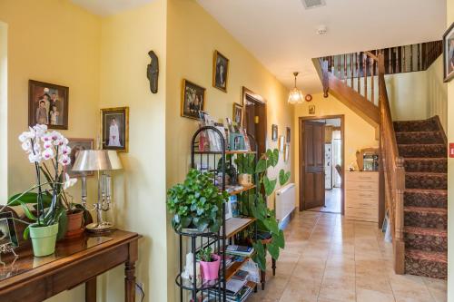 Vestíbulo, Ballindrum Farm B&B in Athy