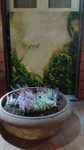 milano ostello - image 2