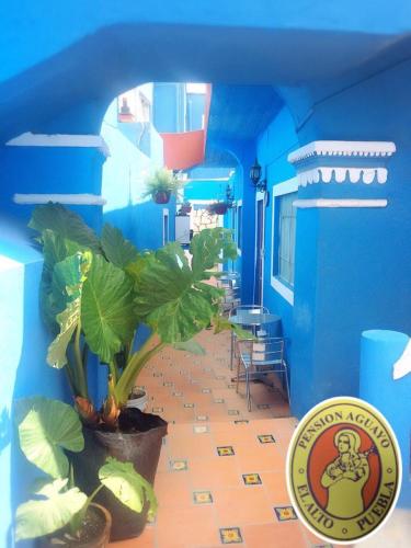 Pension Aguayo