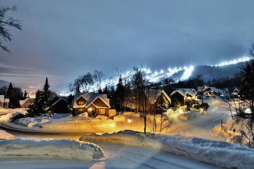 Chalets Alpins - 7 Chemin des Montagnards