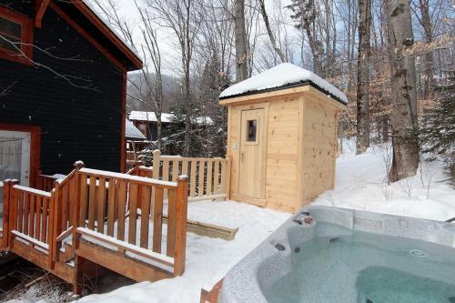 Υδρομασάζ, Chalets Alpins - 15 Chemin Alpin in Στόουναμ (QC)
