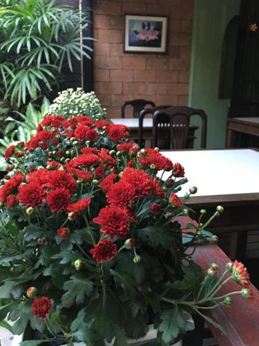 반 탈랑 @ 치앙마이 - 정원