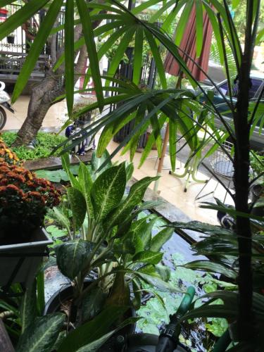 バーン タラン ベッド & ブレックファースト