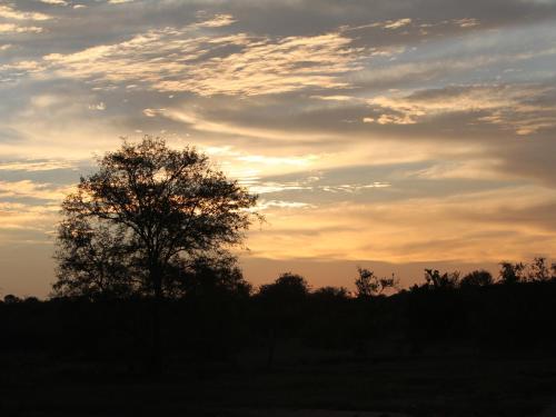 Makumu Private Game Lodge