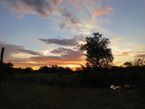 Makumu Private Game Lodge Makumu Private Game Lodge