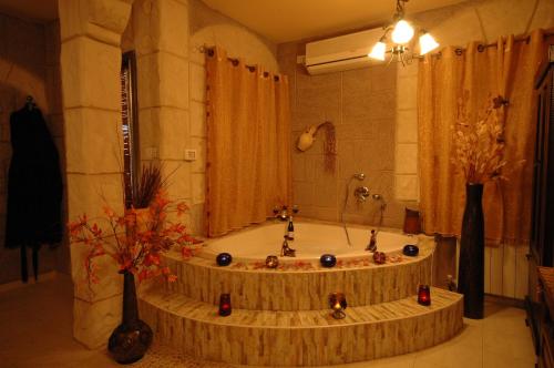 Michal's Suites in Bruchim