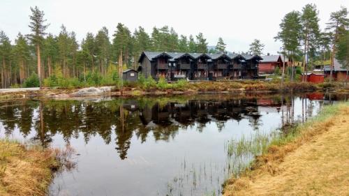Hytte i Vradal