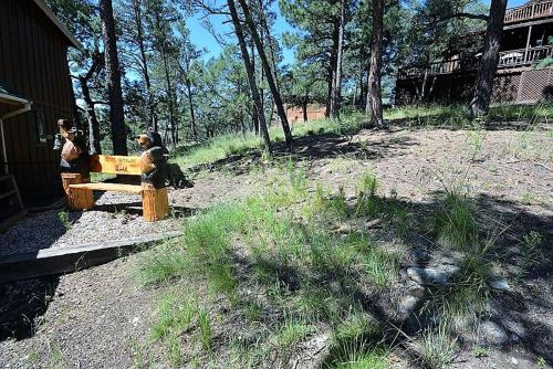 Guys Getaway Two Bedroom Cabin Ruidoso (NM)