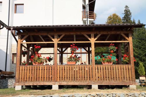 Pensiunea Vraja Muntelui - image 11