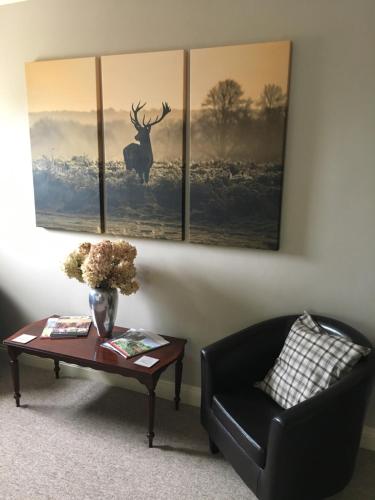 The Elm Tree - image 6
