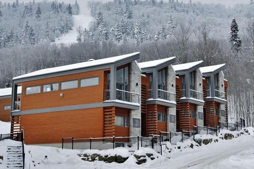 Exterior view, Chalet 15 Chemin des Quarante by Les Chalets Alpins in Stoneham (QC)