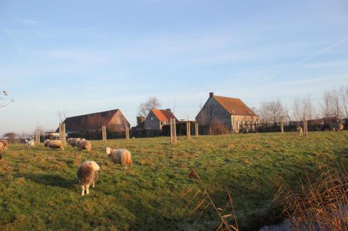  De Molenkreek in Sint-Margriete