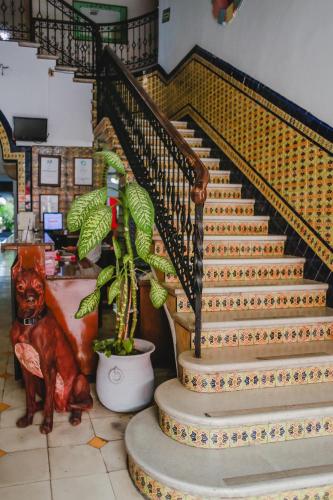Hotel Colon Merida, Mérida (photo 10)
