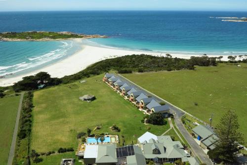 Diamond Island Resort & Bicheno Penguin Show