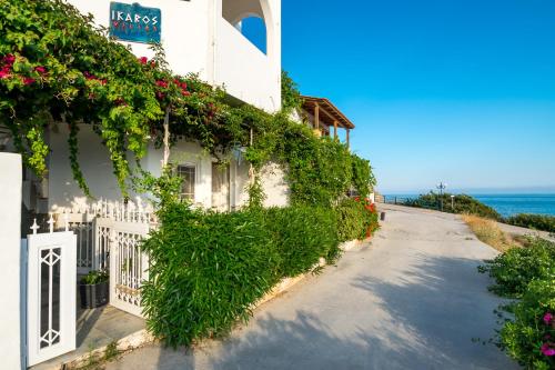 Ikaros Villa - image 10