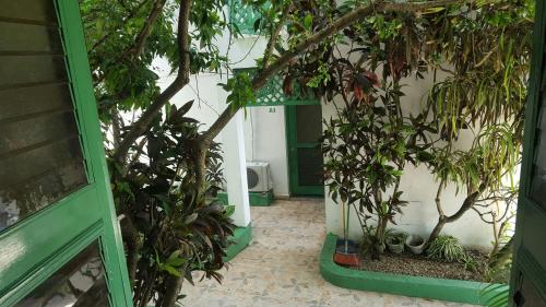 Terraza del Caribe Terraza del Caribe