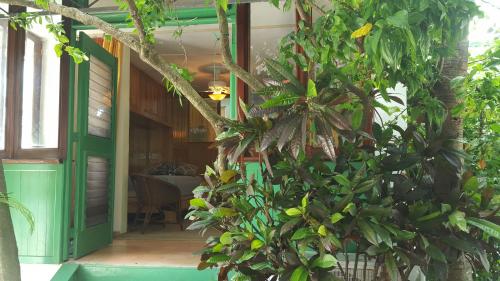 Terraza del Caribe Terraza del Caribe