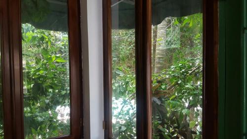 Terraza del Caribe Terraza del Caribe