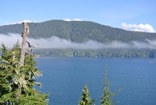 Bjørn Holm in Port Renfrew, Canada