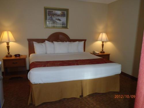 1 king bed