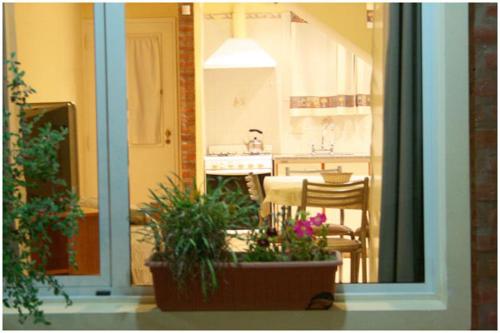 Facilities, Complejo Andalhue in Puerto Madryn