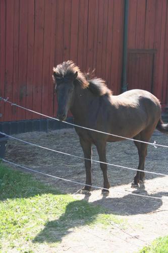 Fagerlid Gard in Hova