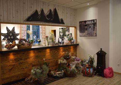 Hotel Edel Weiss - image 5