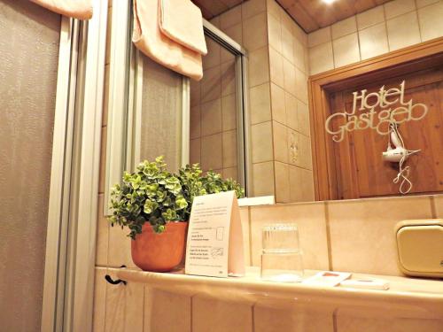 Hotel Gastgeb - image 11