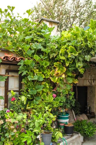 Turkish Cave House - image 6