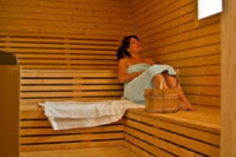 Sauna, Ferienhaus Bergblick - mit Sauna und Dampfbad und Yacuzzi in Sehmatal