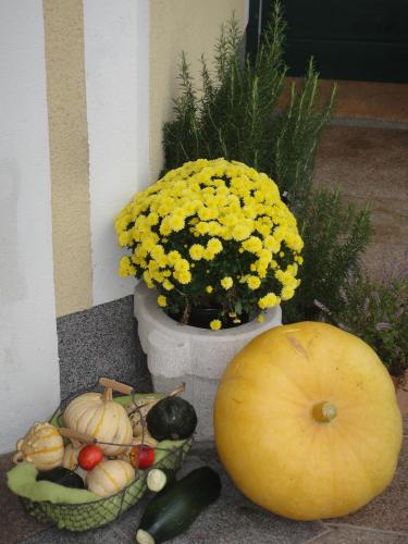 Ferienwohnung Haus Lehen - image 2