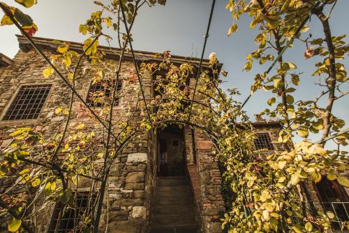 La Veronica Exclusive Chianti Resort