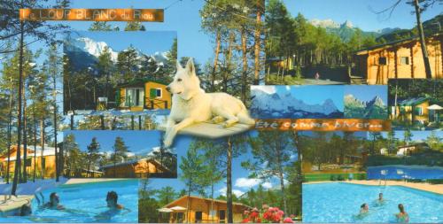 Parc Résidentiel de Loisir : Le Loup Blanc du Riou - Hotel - Barcelonnette