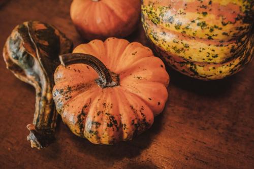 La Veronica Exclusive Chianti Resort