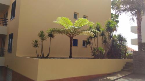  LIDO - CASA BRANCA in Funchal