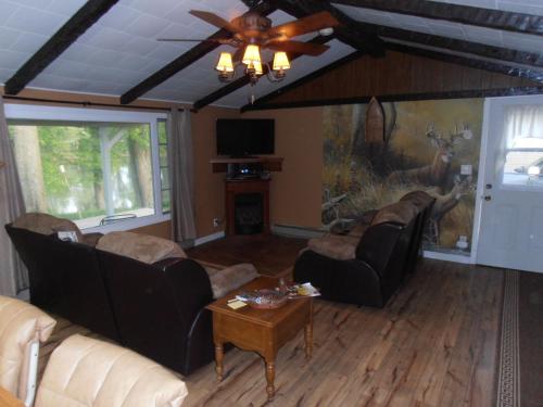 Martin's River Cabin in Dresden (OH)