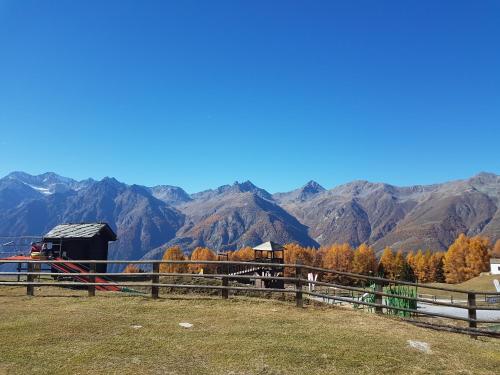 Chalet Schneevogul