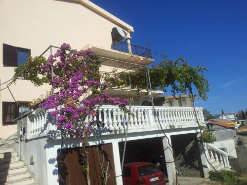 Apartments Tara - image 2