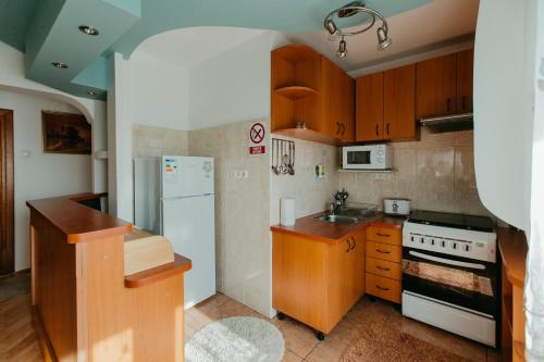 Rex’s Premium Apartment - image 5