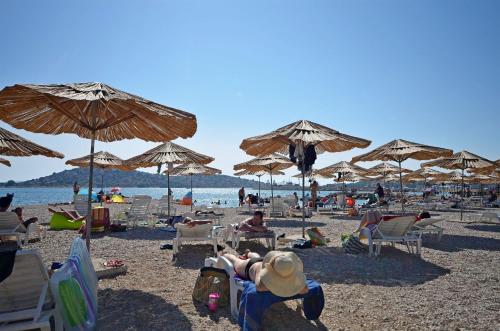 Apartments Mira - image 8