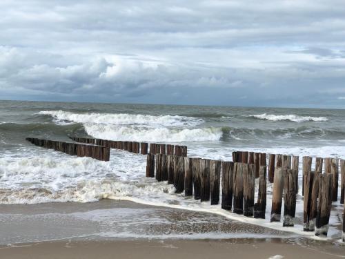 Pension de Zeeschelp - image 14
