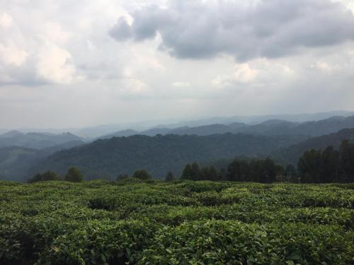 Kitabi EcoCenter Kitabi EcoCenter