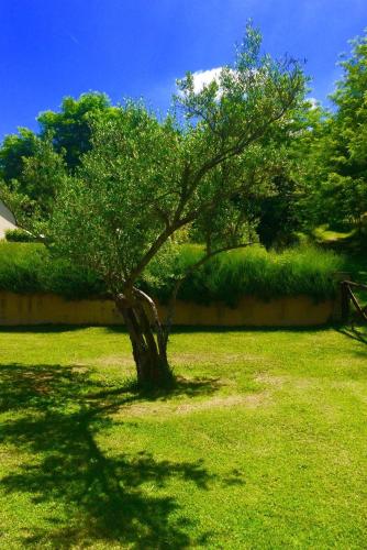 Agriturismo Acero Rosso