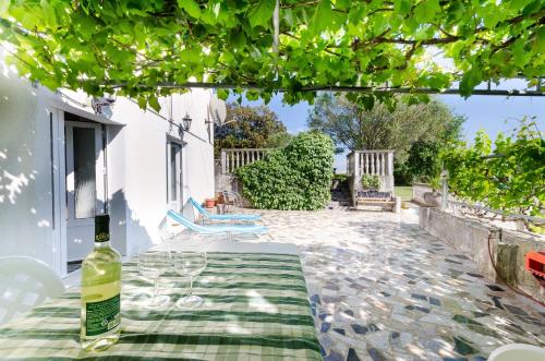 House Branka - image 13