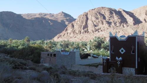 棕榈树宾馆 棕榈树宾馆