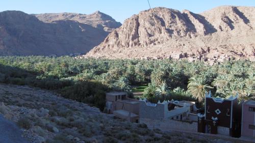 棕榈树宾馆 棕榈树宾馆