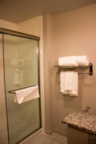 Holiday Inn Express and Suites Tahlequah an IHG Hotel - image 3
