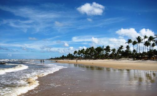 ชายหาด, Aparthotel BahiaTropical in คานาเวียอิรัส